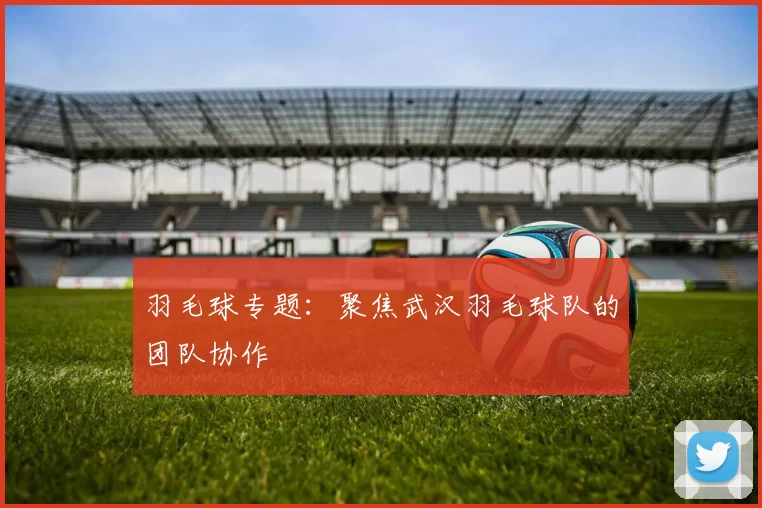 羽毛球专题：聚焦武汉羽毛球队的团队协作