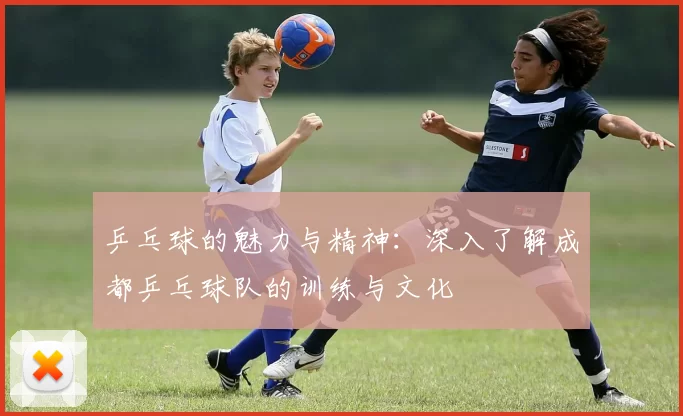 乒乓球的魅力与精神：深入了解成都乒乓球队的训练与文化