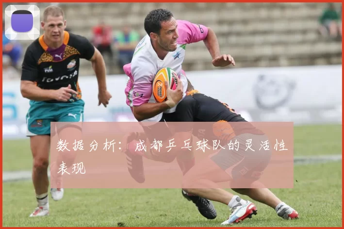 数据分析：成都乒乓球队的灵活性表现