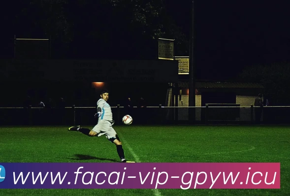 乐鱼体育服务体系