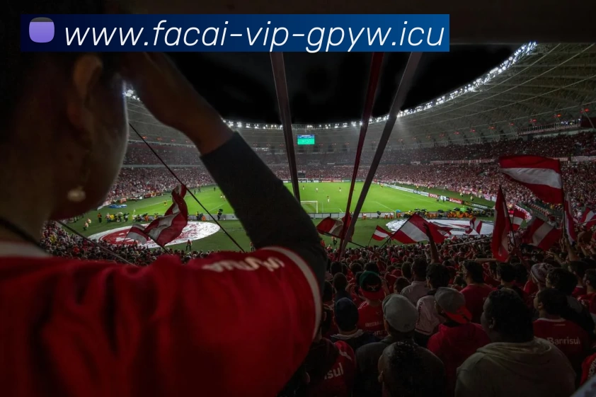 多媒体互动体验